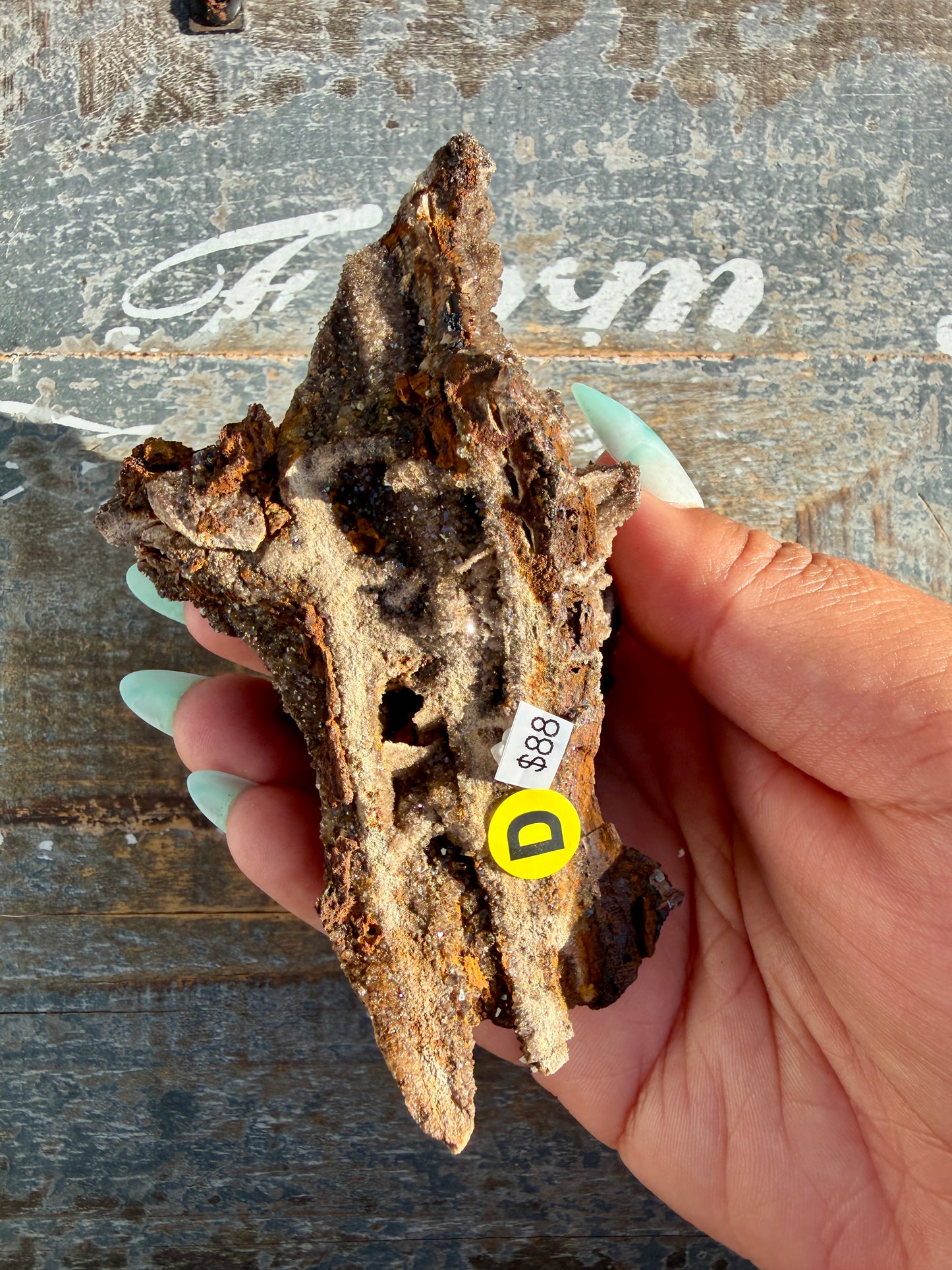 Hand-Mined Brillant Wood | Alabama | Crystal Collector Find | Opt D
