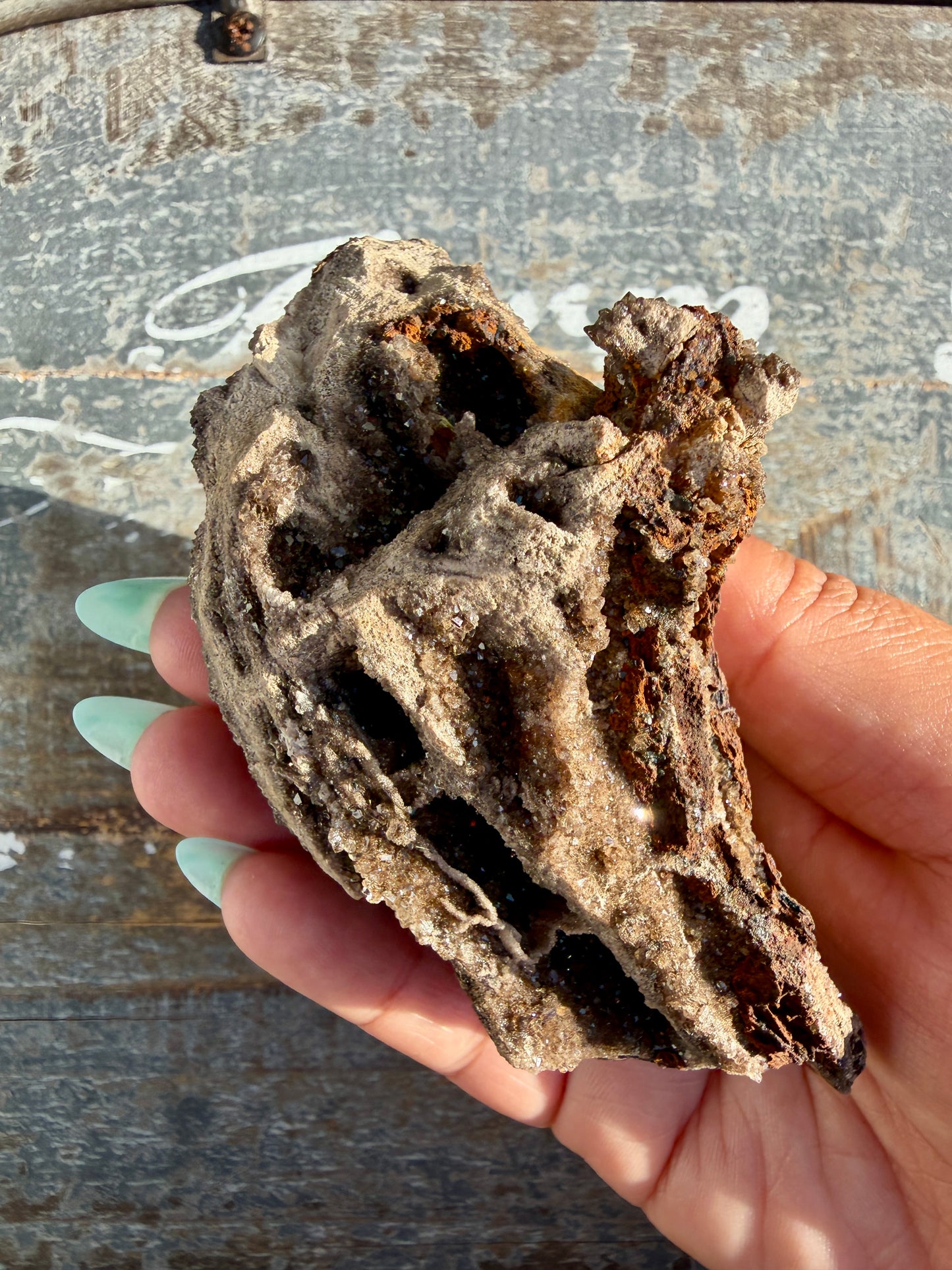 Hand-Mined Brillant Wood | Alabama | Crystal Collector Find | Opt D