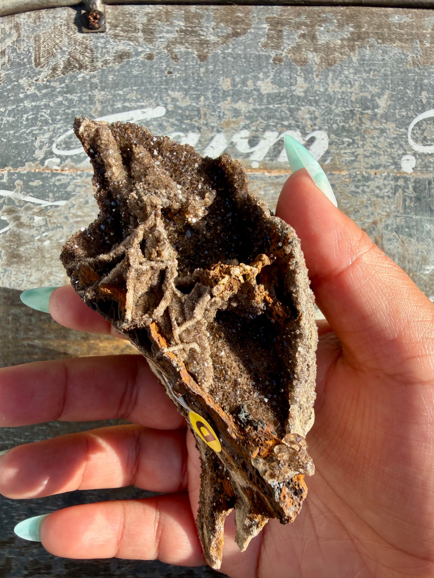 Hand-Mined Brillant Wood | Alabama | Crystal Collector Find | Opt D