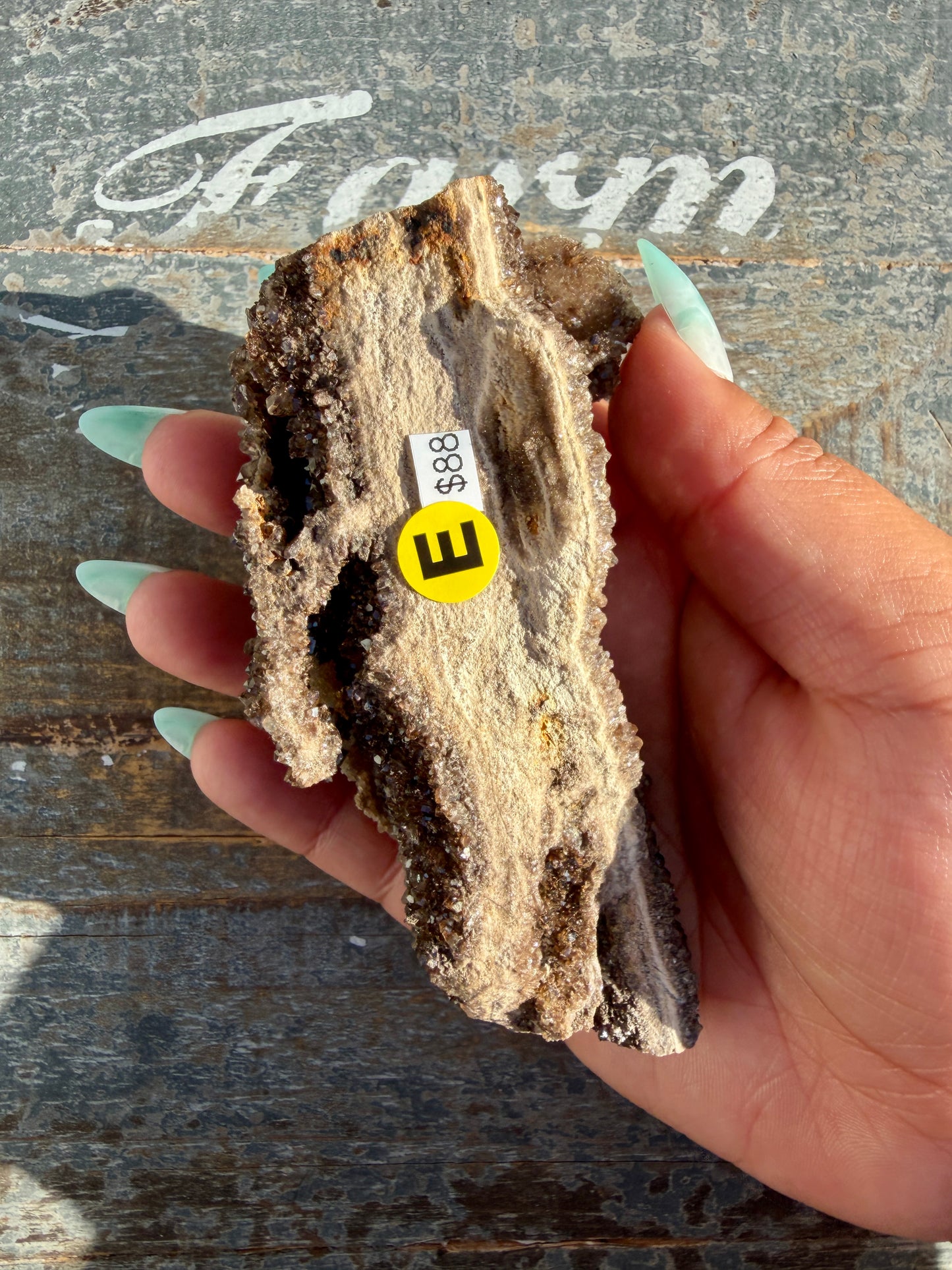 Hand-Mined Brillant Wood | Alabama | Crystal Collector Find | Opt E