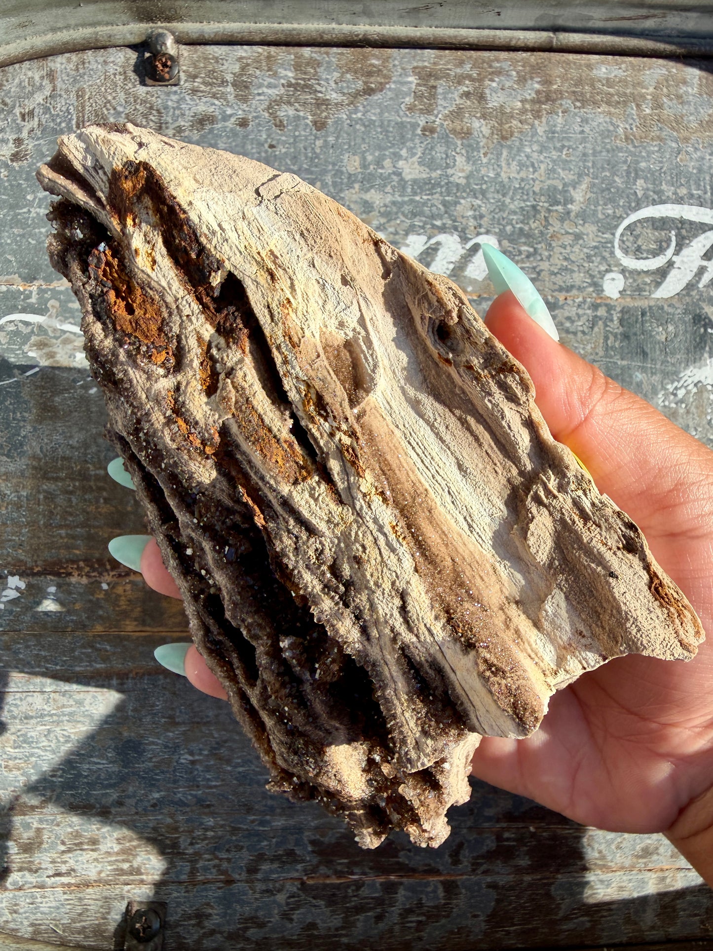 Hand-Mined Brillant Wood | Alabama | Crystal Collector Find | Opt B