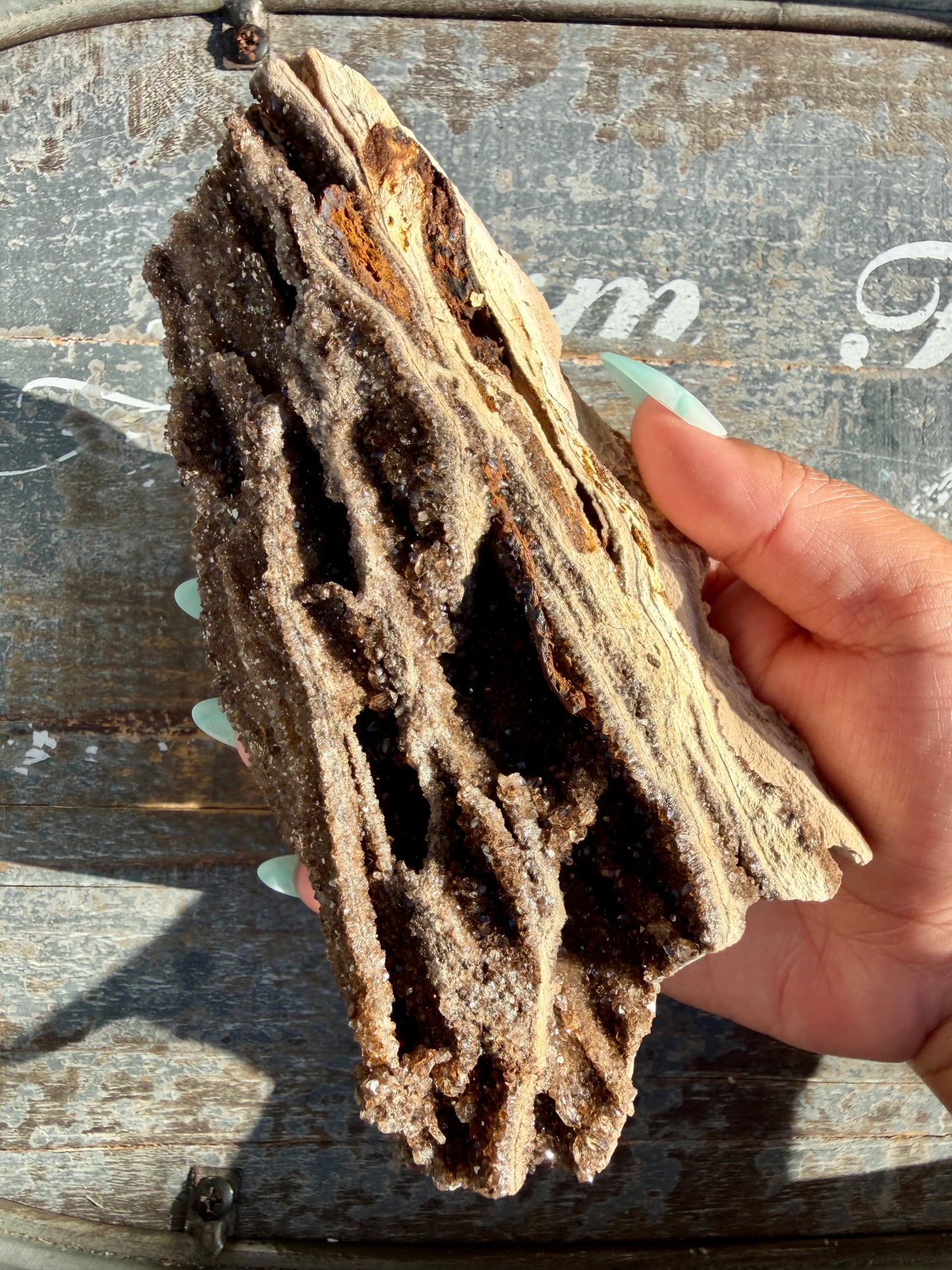 Hand-Mined Brillant Wood | Alabama | Crystal Collector Find | Opt B