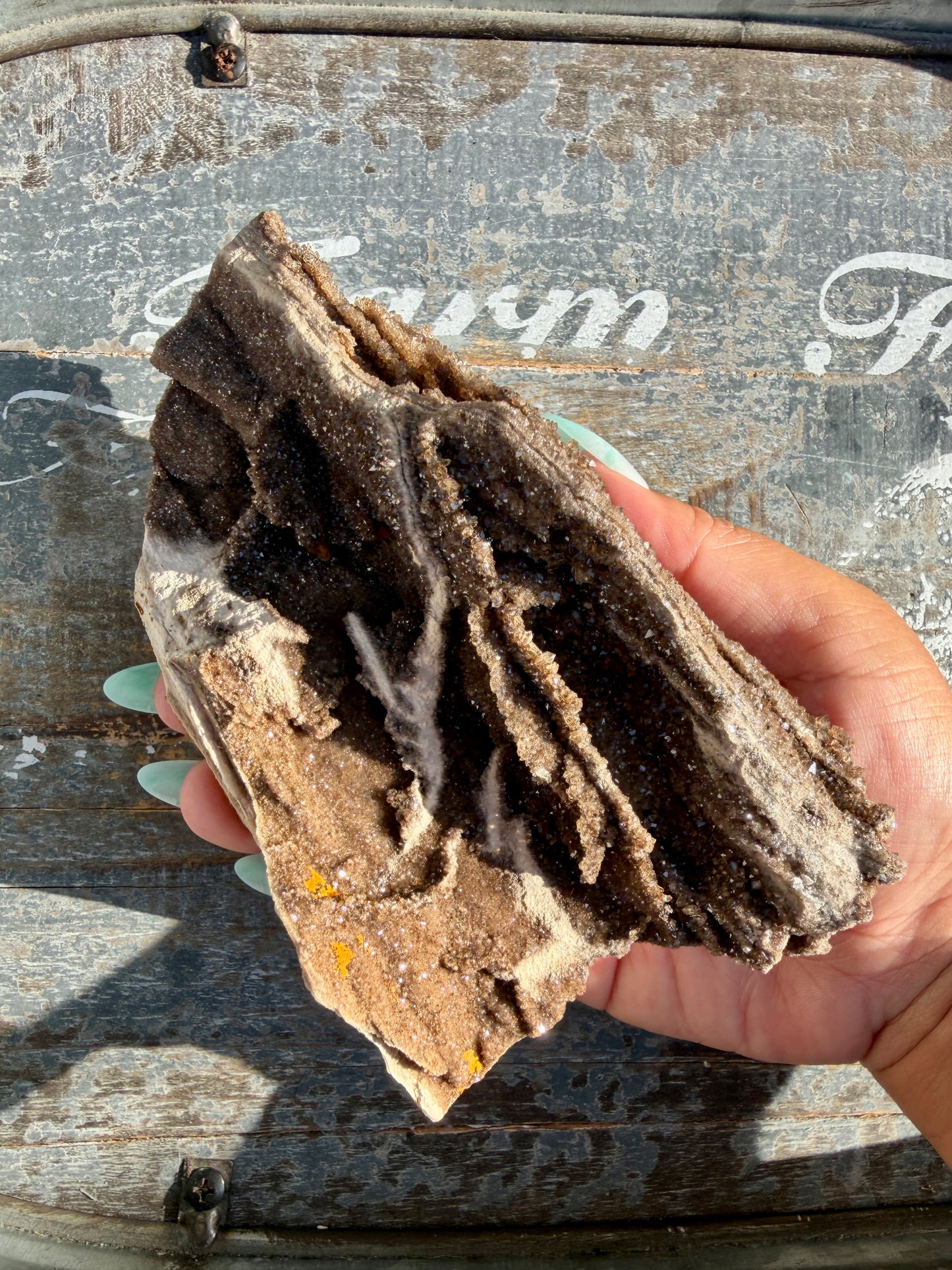 Hand-Mined Brillant Wood | Alabama | Crystal Collector Find | Opt B