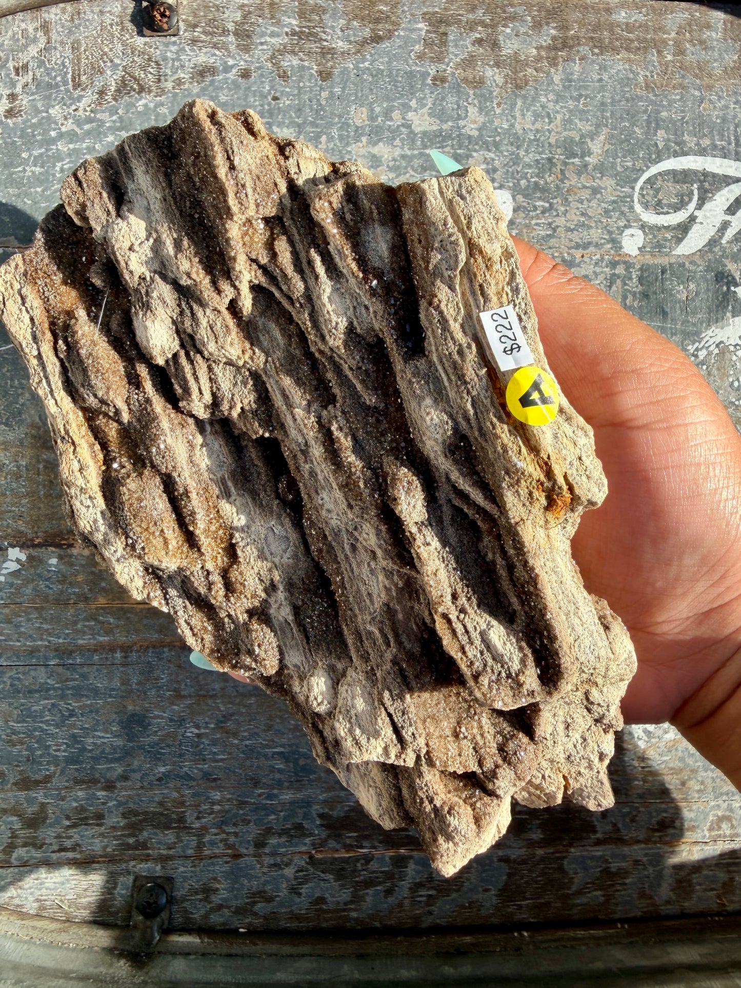 Hand-Mined Brillant Wood | Alabama | Crystal Collector Find | Opt A