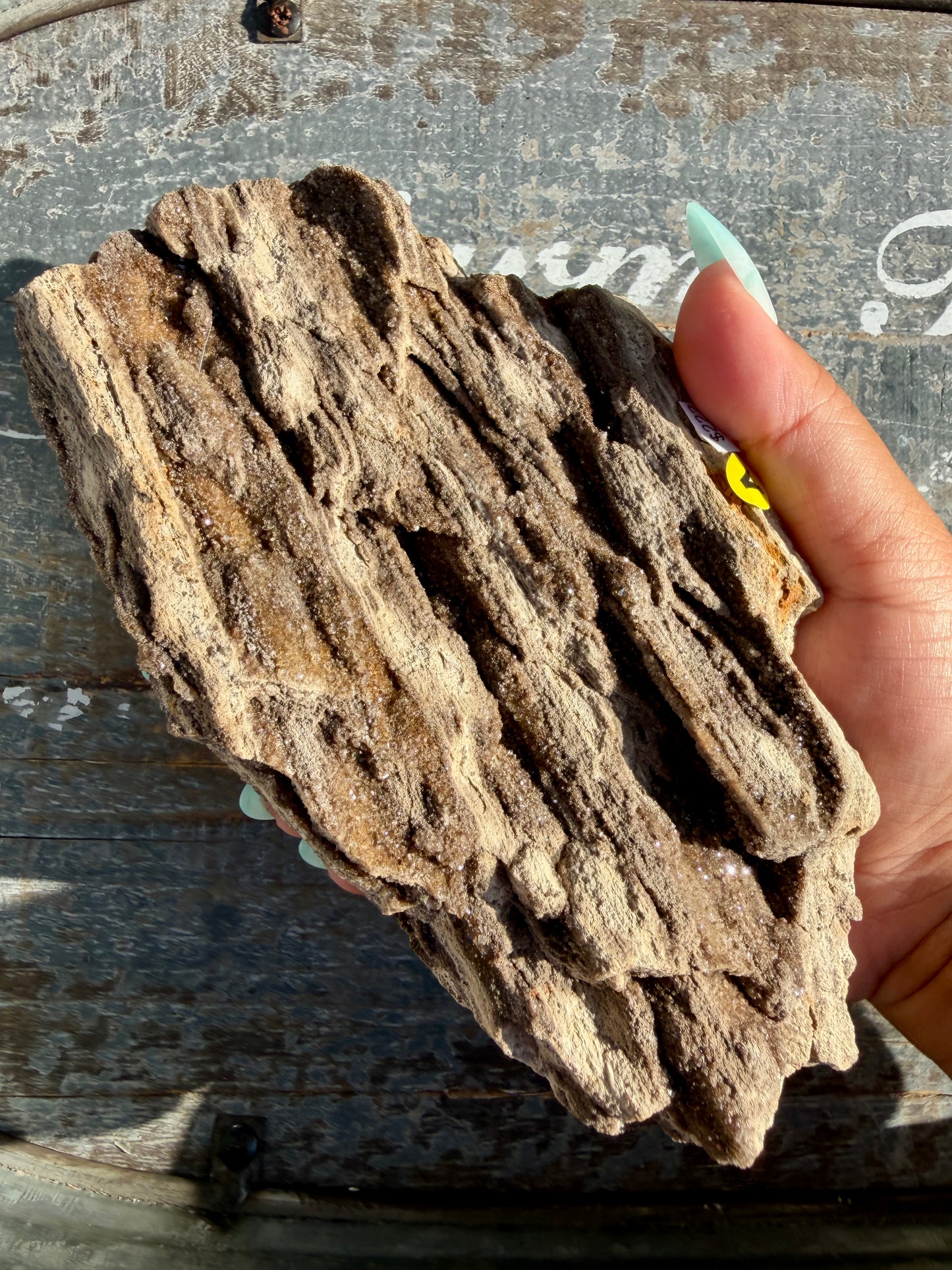 Hand-Mined Brillant Wood | Alabama | Crystal Collector Find | Opt A