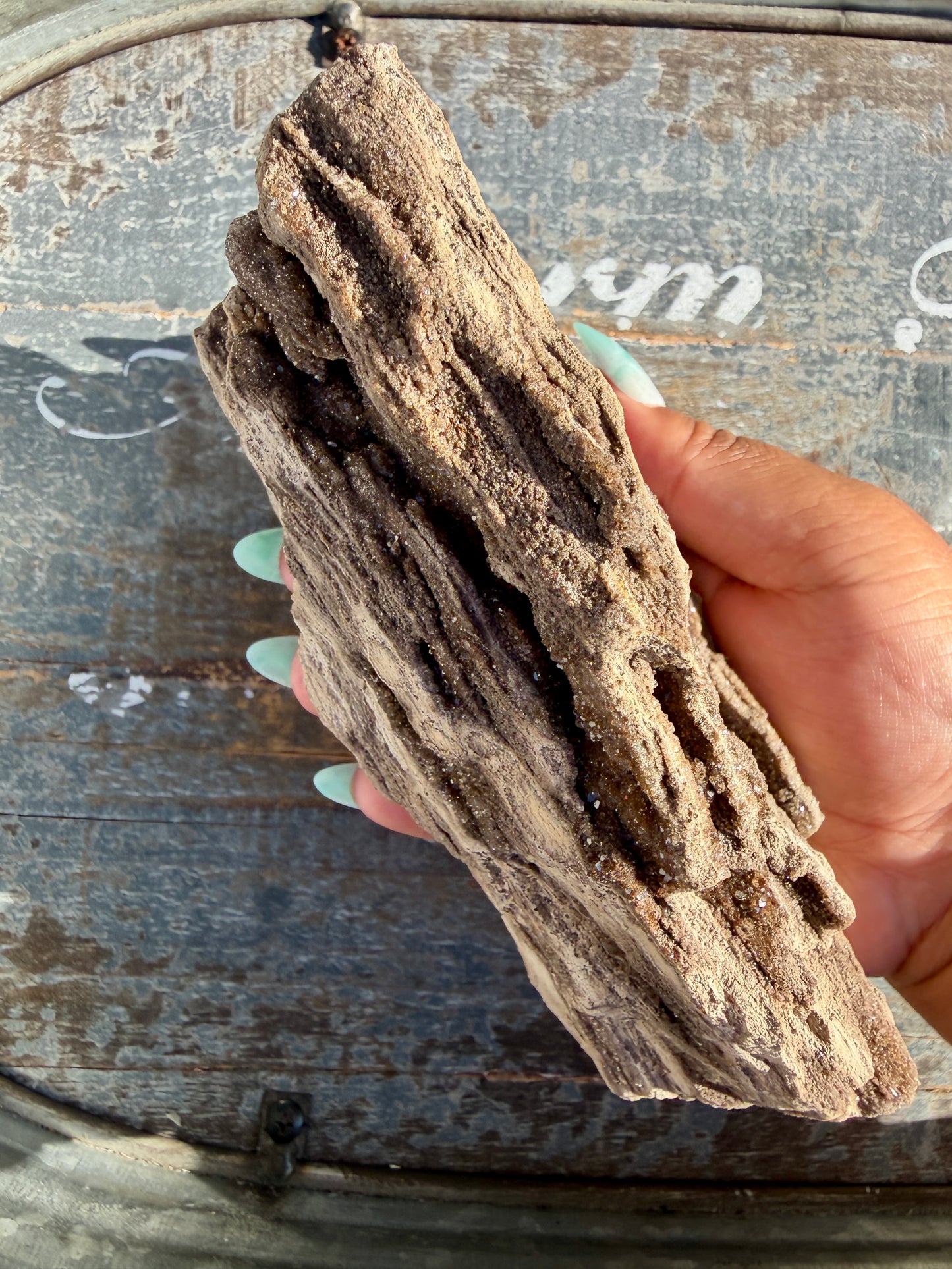 Hand-Mined Brillant Wood | Alabama | Crystal Collector Find | Opt A