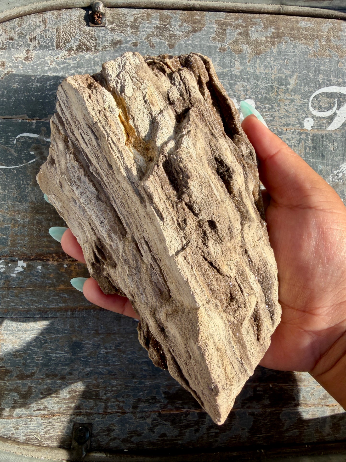 Hand-Mined Brillant Wood | Alabama | Crystal Collector Find | Opt A