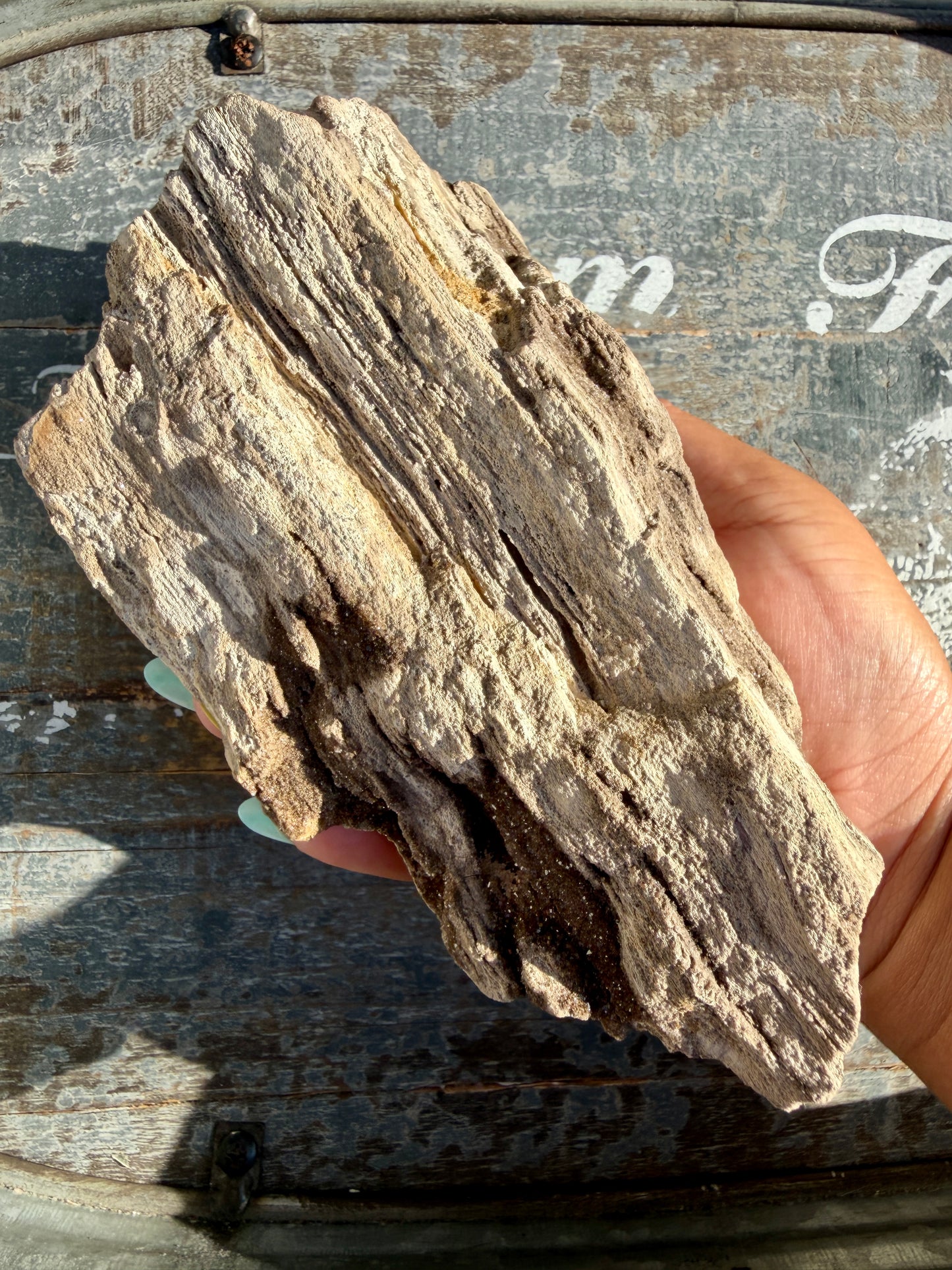 Hand-Mined Brillant Wood | Alabama | Crystal Collector Find | Opt A