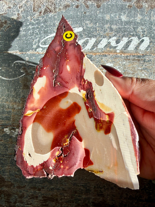 Gorgeous Mookaite Slab | Opt C | Australia