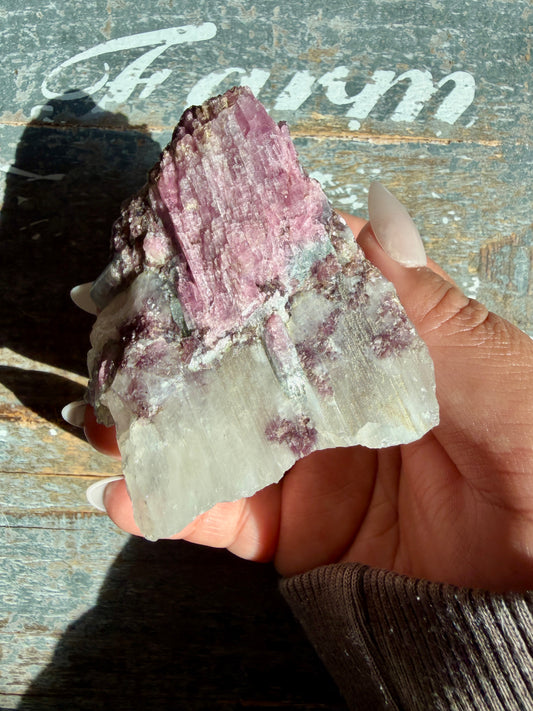 Watermelon Tourmaline | Opt Pp