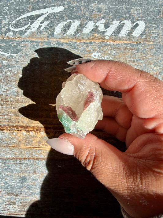 Watermelon Tourmaline | Opt D