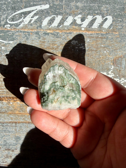 Watermelon Tourmaline | Opt No Letter