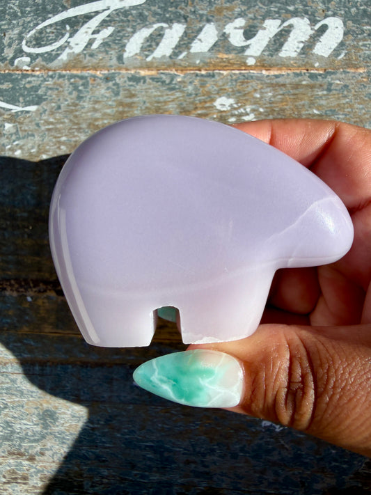 Gorgeous Lavender Fluorite Bear | Opt 38