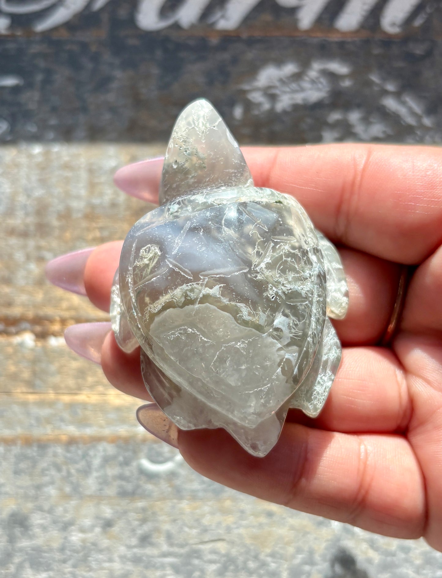 Gorgeous Moss Agate Sea Turtle