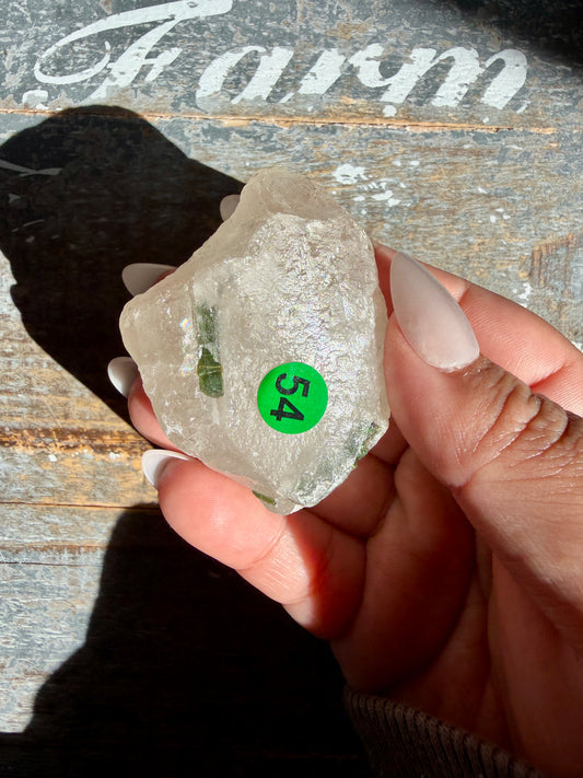 Watermelon Tourmaline | Opt 54