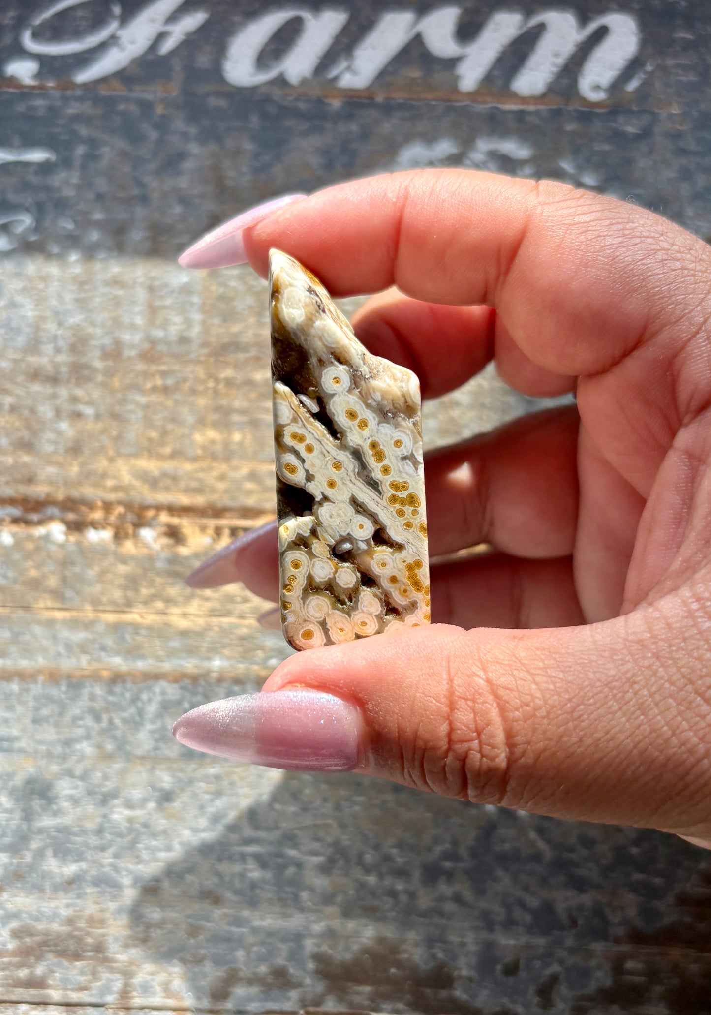 Gorgeous Authentic Ocean Jasper Free Form From Madagascar