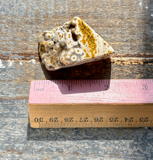 Gorgeous Authentic Ocean Jasper Free Form From Madagascar