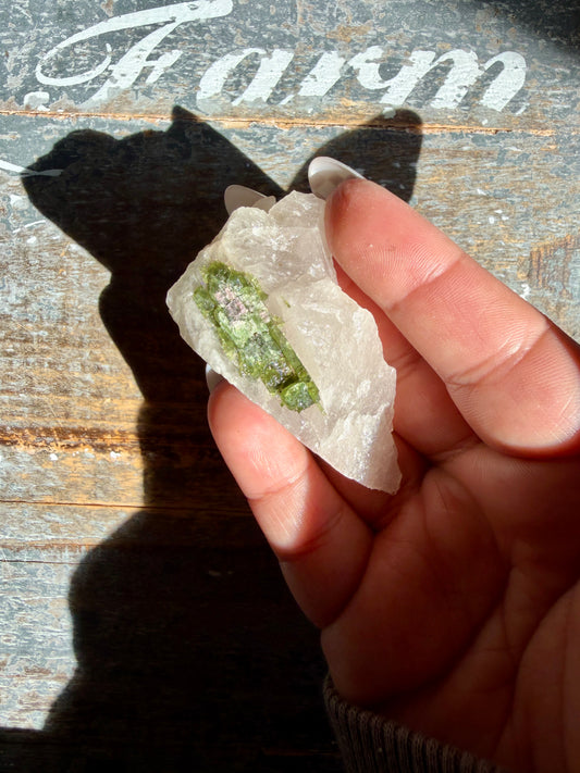 Watermelon Tourmaline | Opt 56