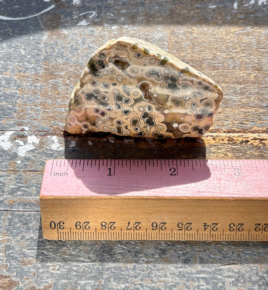 Gorgeous Authentic Ocean Jasper Free Form From Madagascar