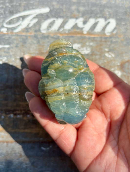 Gorgeous Blue Onyx Money Toad | Opt H