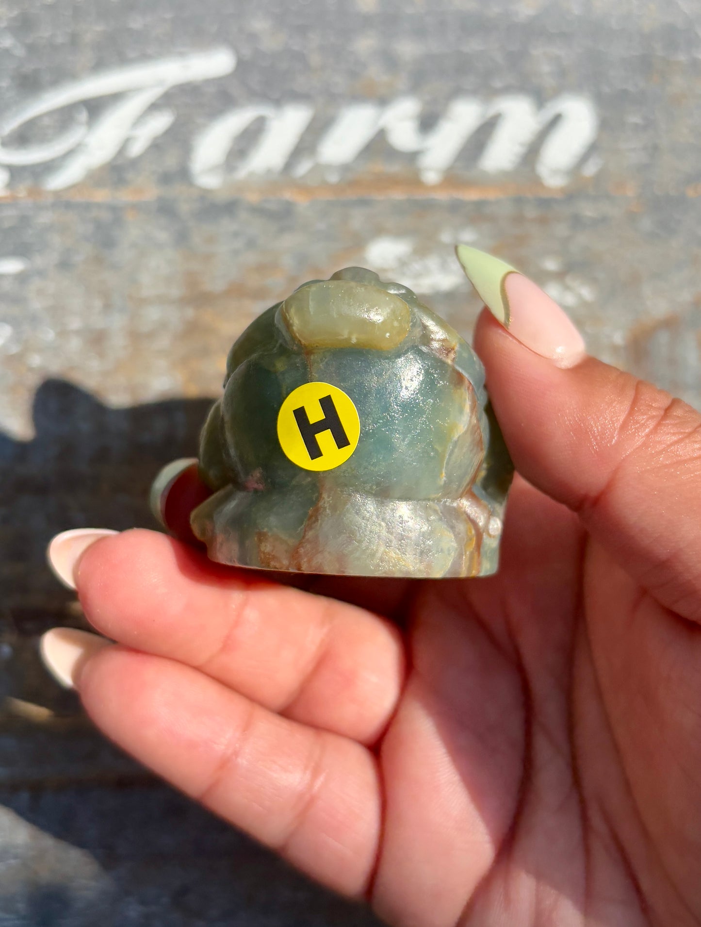 Gorgeous Blue Onyx Money Toad | Opt H