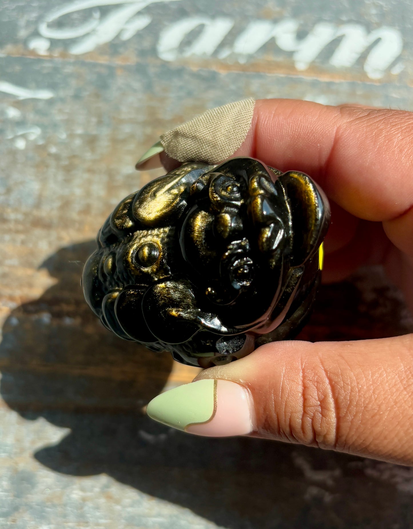 Gold Sheen Obsidian Money Toad | Opt A