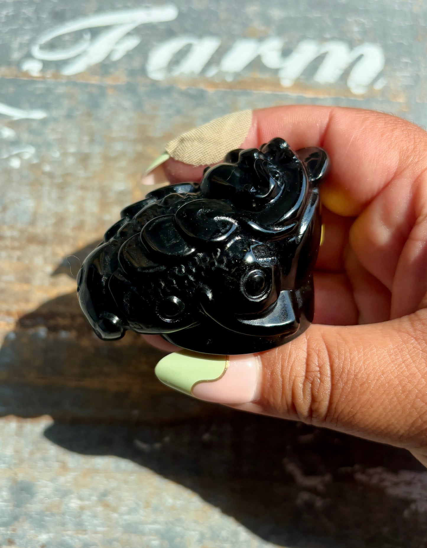 Gold Sheen Obsidian Money Toad | Opt A