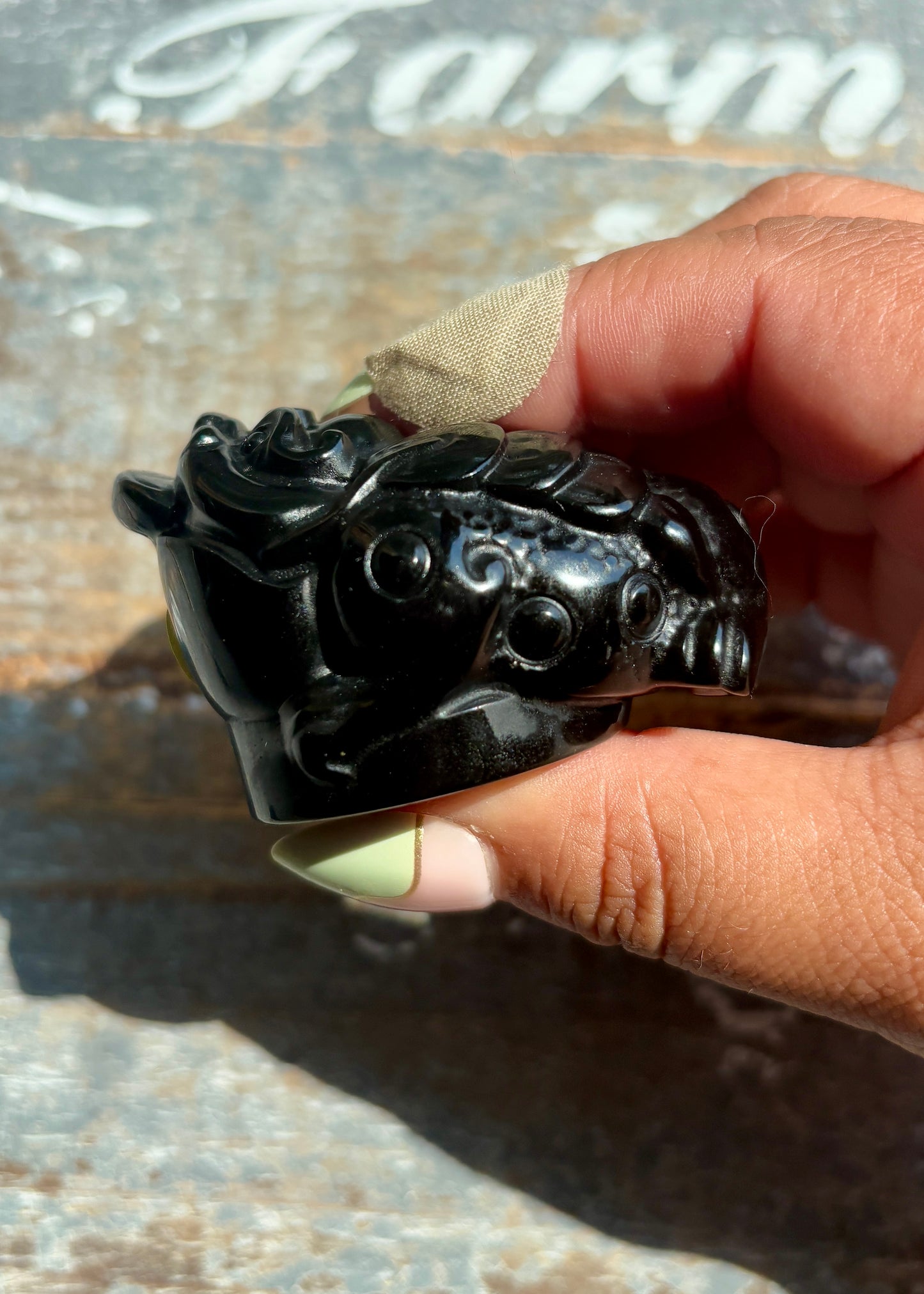 Gold Sheen Obsidian Money Toad | Opt A