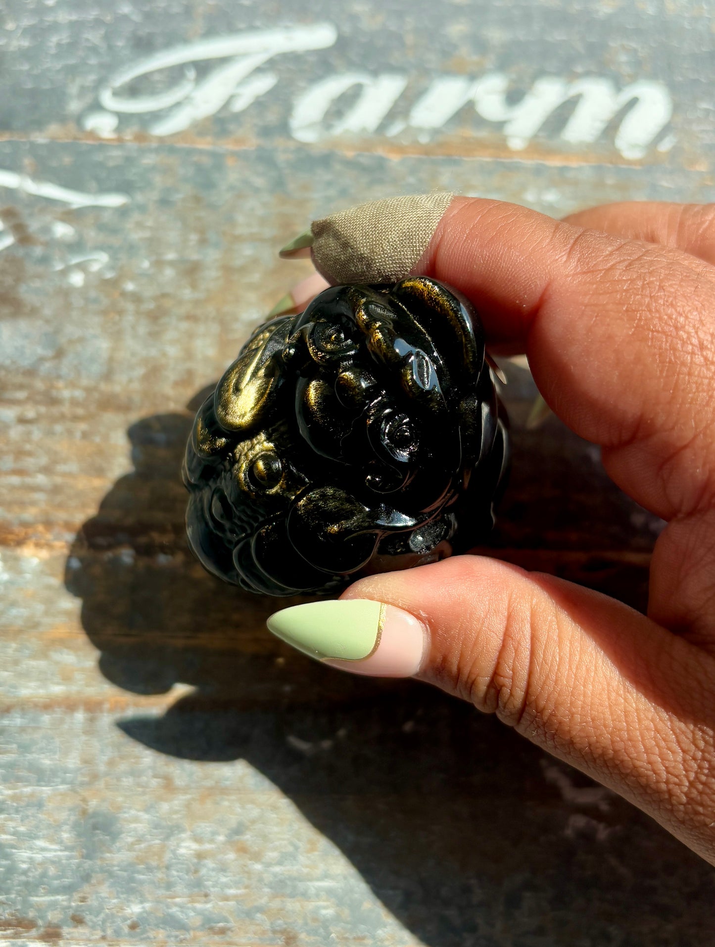 Gold Sheen Obsidian Money Toad | Opt A