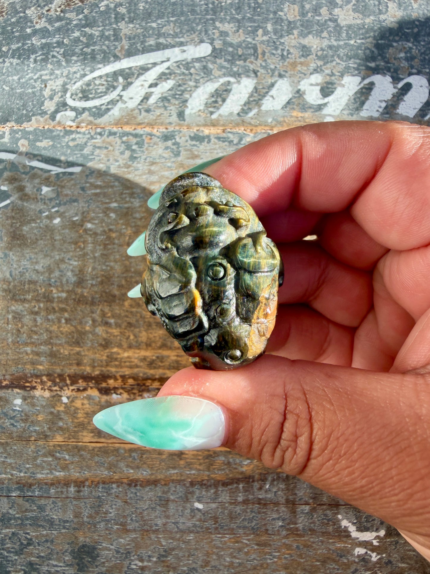 Gorgeous Blue Tigers Eye Money Toad