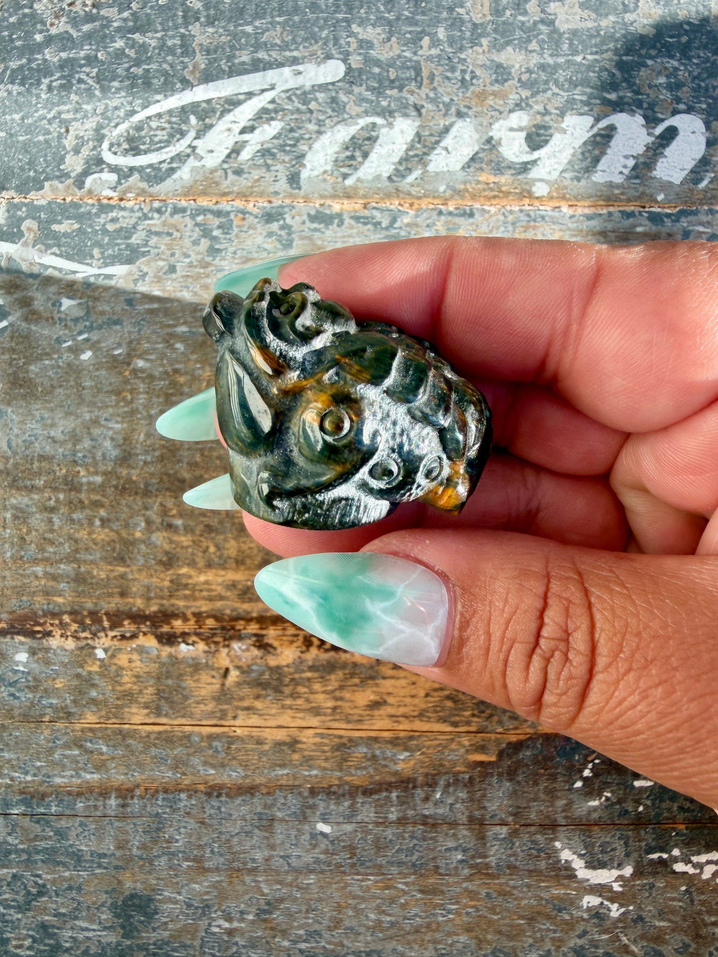 Gorgeous Blue Tigers Eye Money Toad