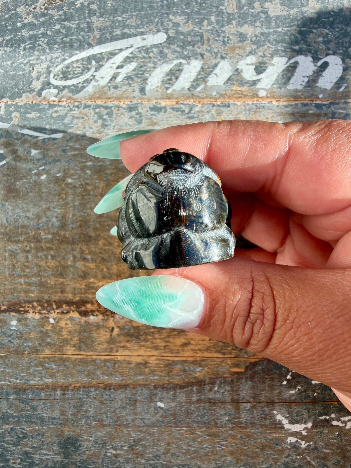 Gorgeous Blue Tigers Eye Money Toad