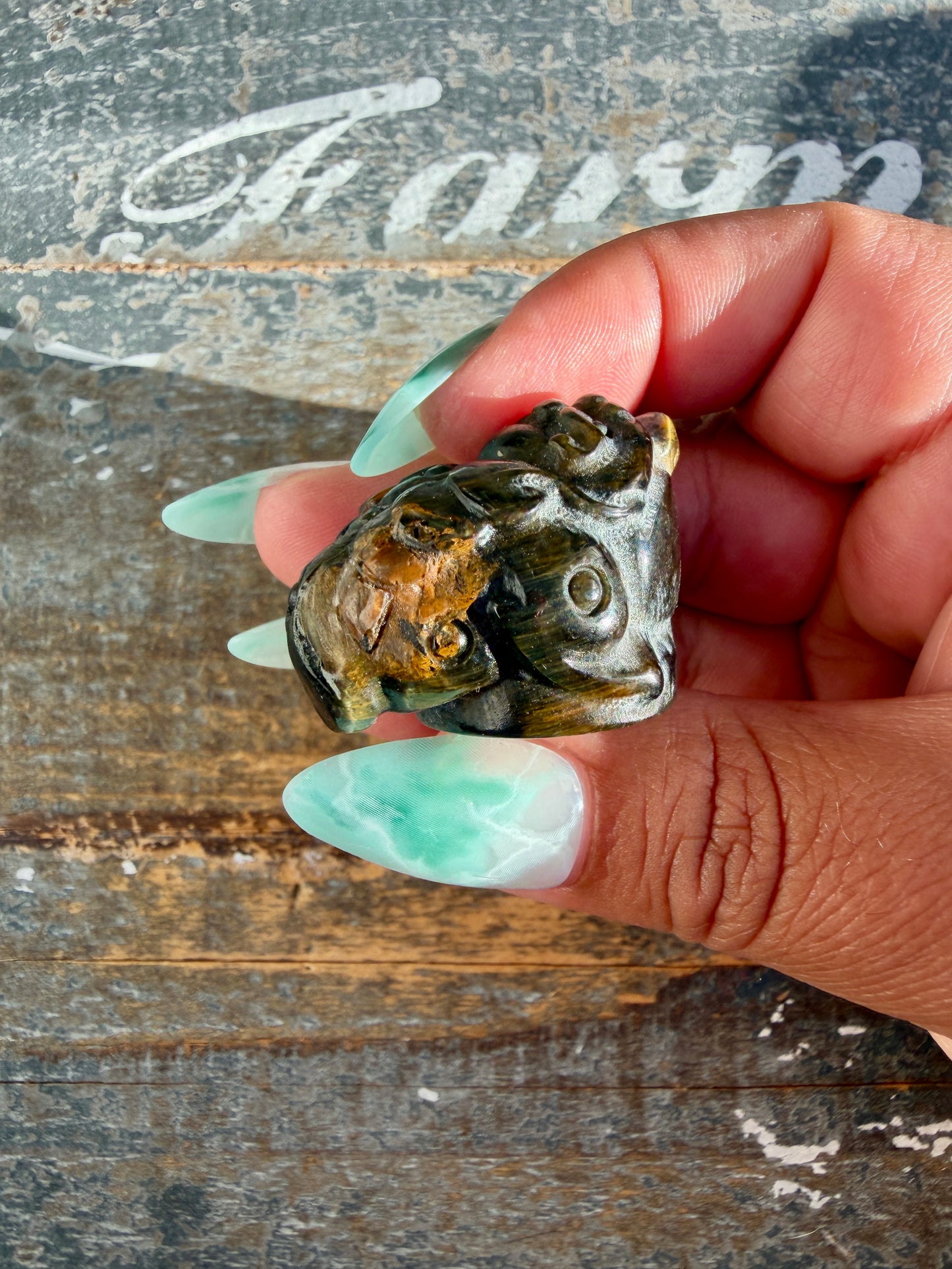 Gorgeous Blue Tigers Eye Money Toad
