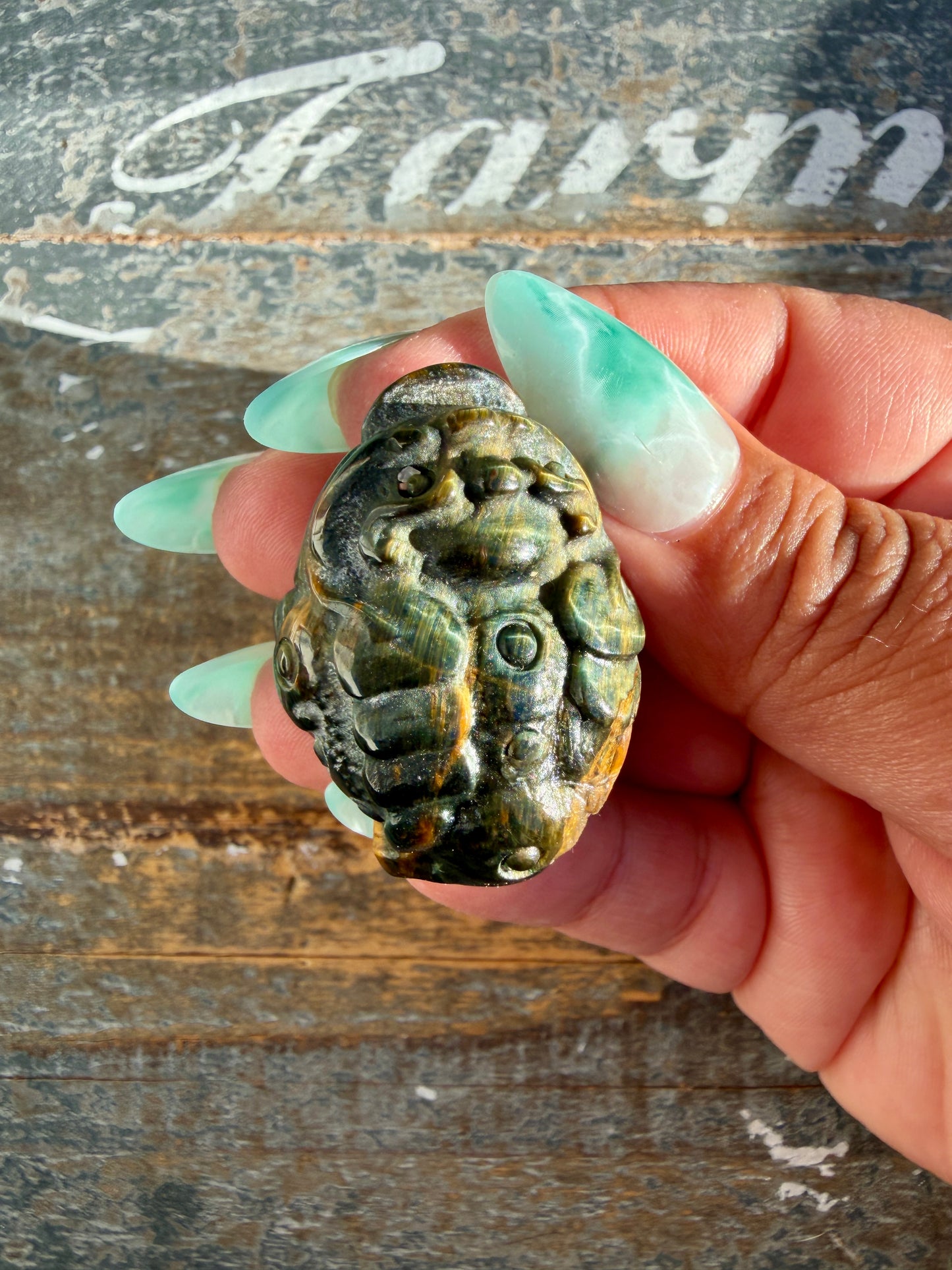 Gorgeous Blue Tigers Eye Money Toad