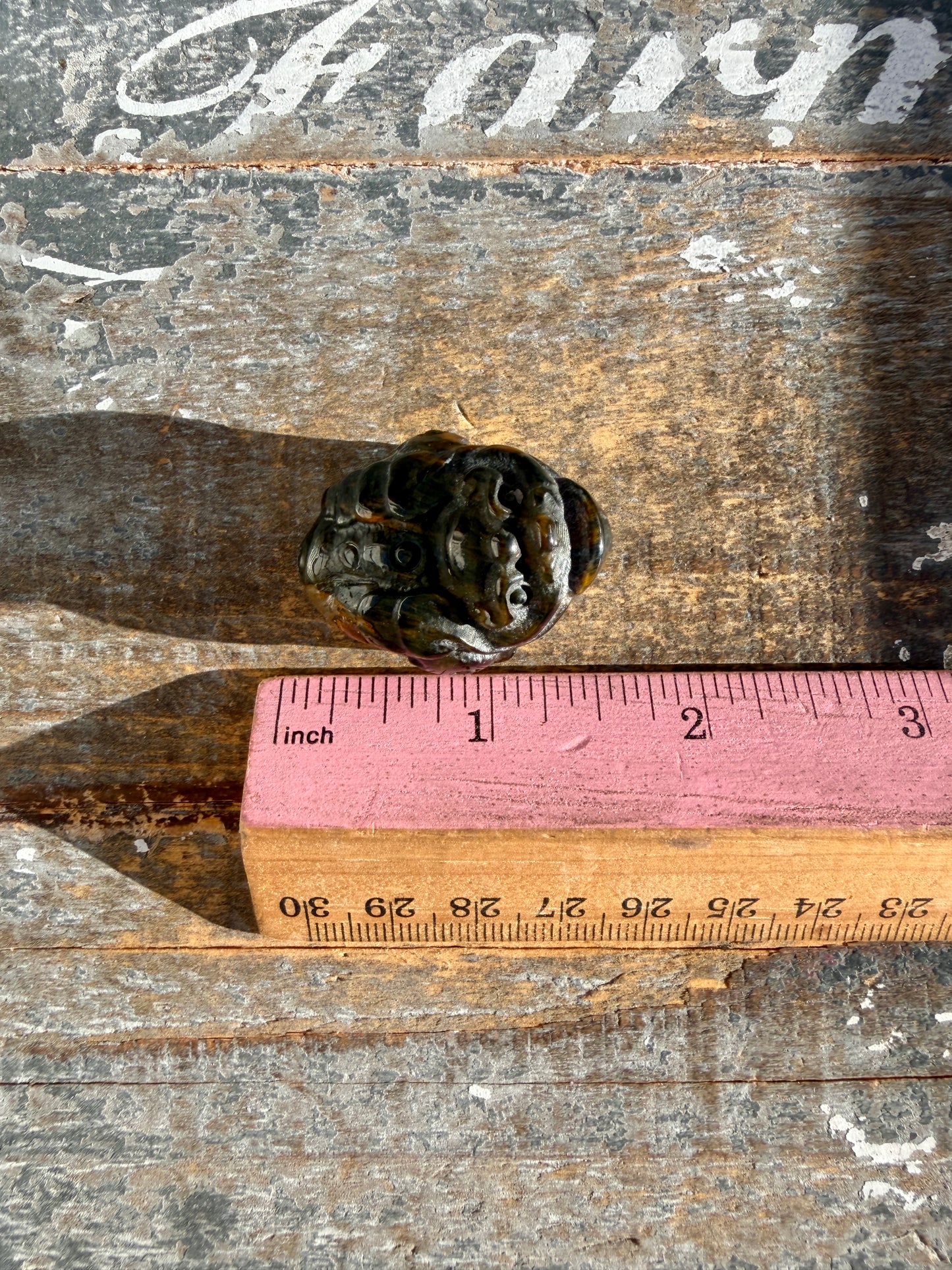 Gorgeous Blue Tigers Eye Money Toad
