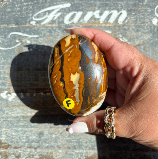 Gorgeous Tiger Iron & Hematite Palmstone | F