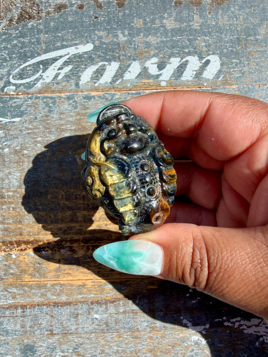 Gorgeous Blue Tigers Eye Money Toad