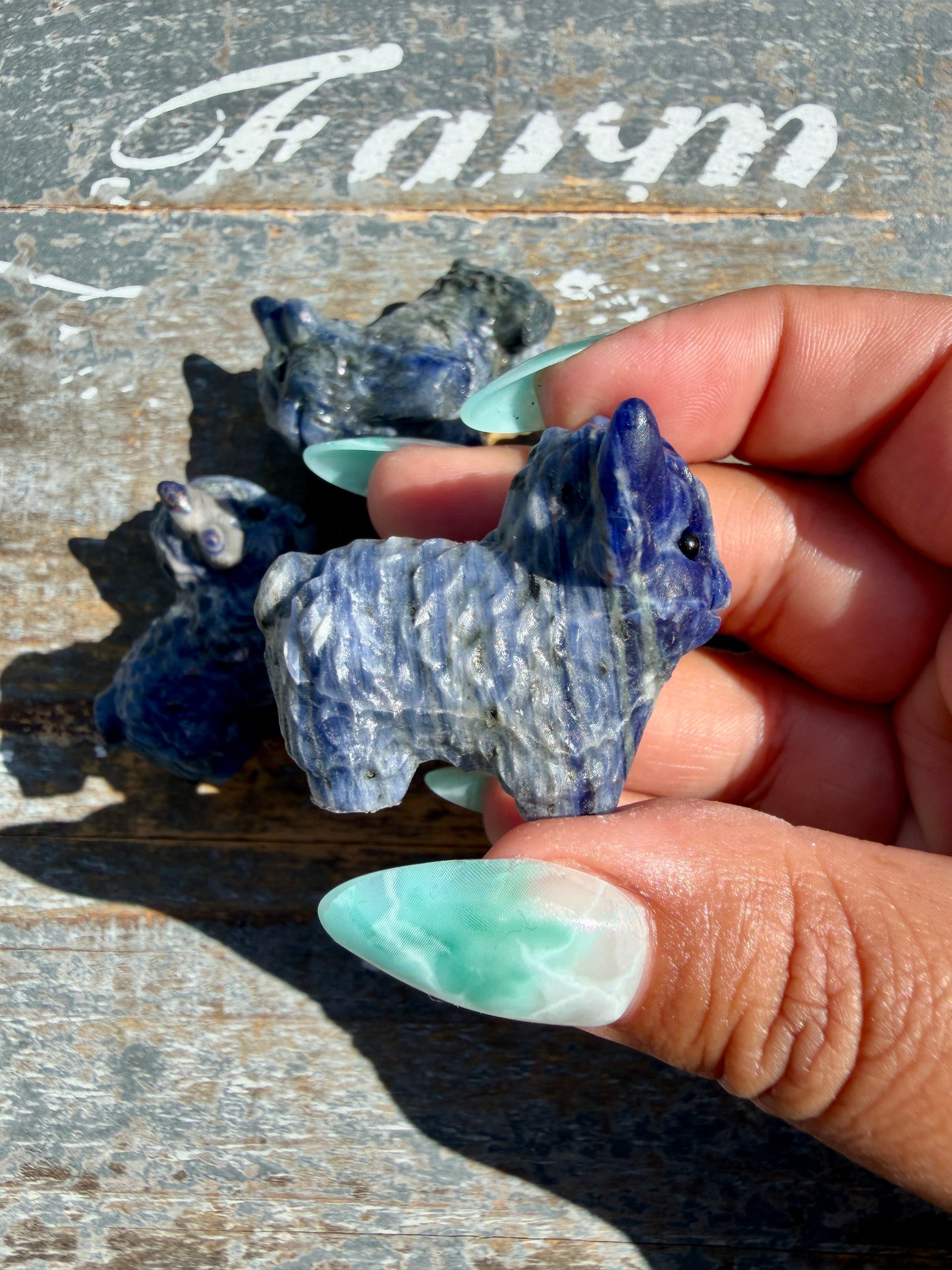 One (1) Mini Sodalite Highland Cow | Intuitively Chosen