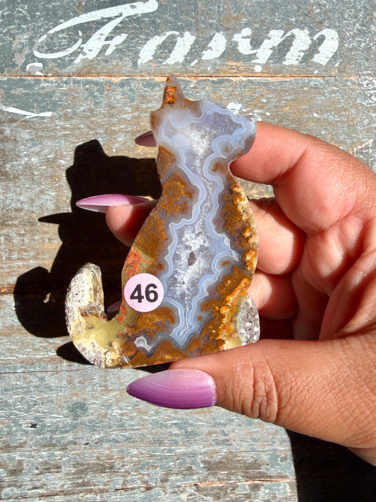 Gorgeous Indonesian Scenic Moss Agate DOG Carving | Opt 46