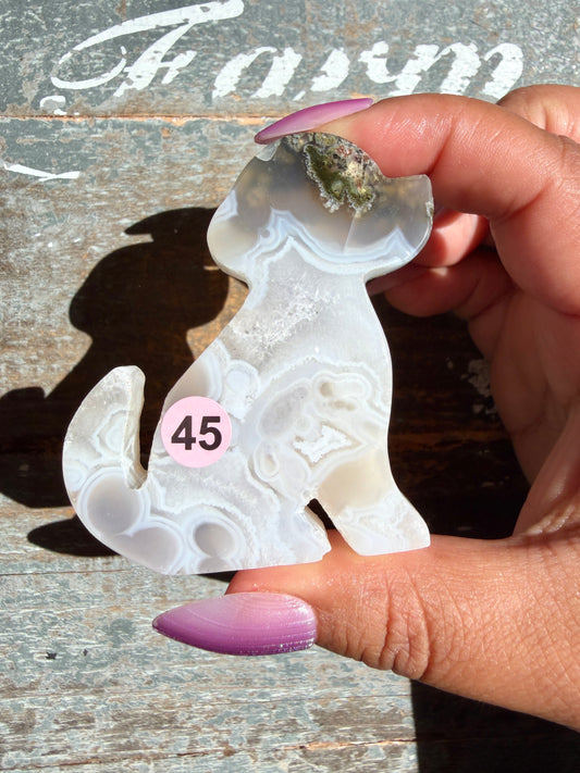 Gorgeous Indonesian Scenic Moss Agate DOG Carving | Opt 45