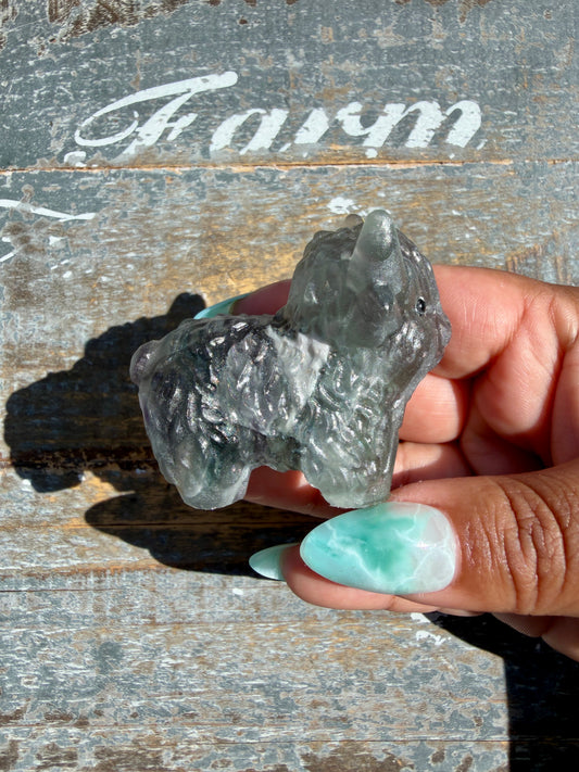Adorable Rainbow Fluorite Highland Cow | Opt H