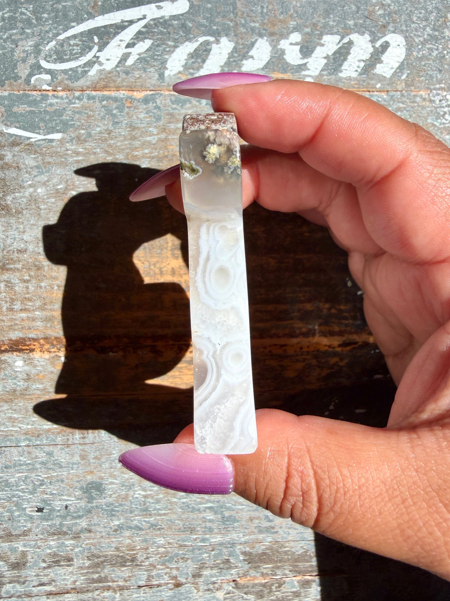 Gorgeous Indonesian Scenic Moss Agate DOG Carving | Opt 45