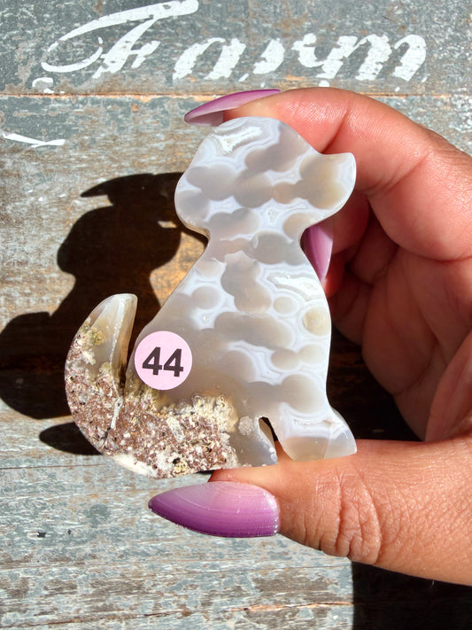 Gorgeous Indonesian Scenic Moss Agate DOG Carving | Opt 44