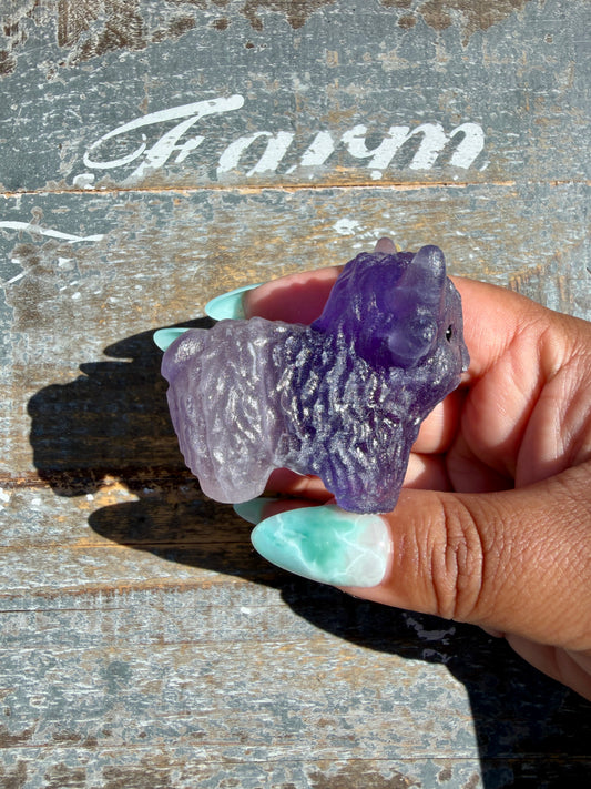 Adorable Rainbow Fluorite Highland Cow | Opt S