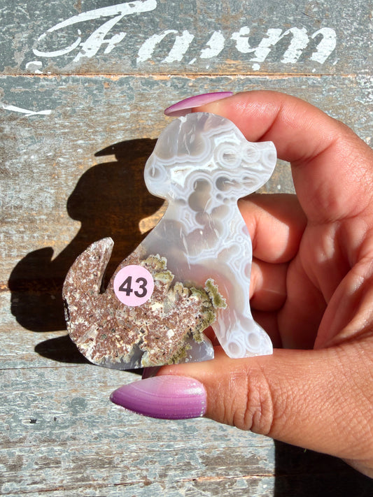 Gorgeous Indonesian Scenic Moss Agate DOG Carving | Opt 43