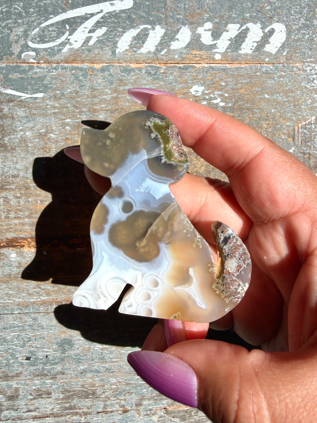 Gorgeous Indonesian Scenic Moss Agate DOG Carving | Opt 41