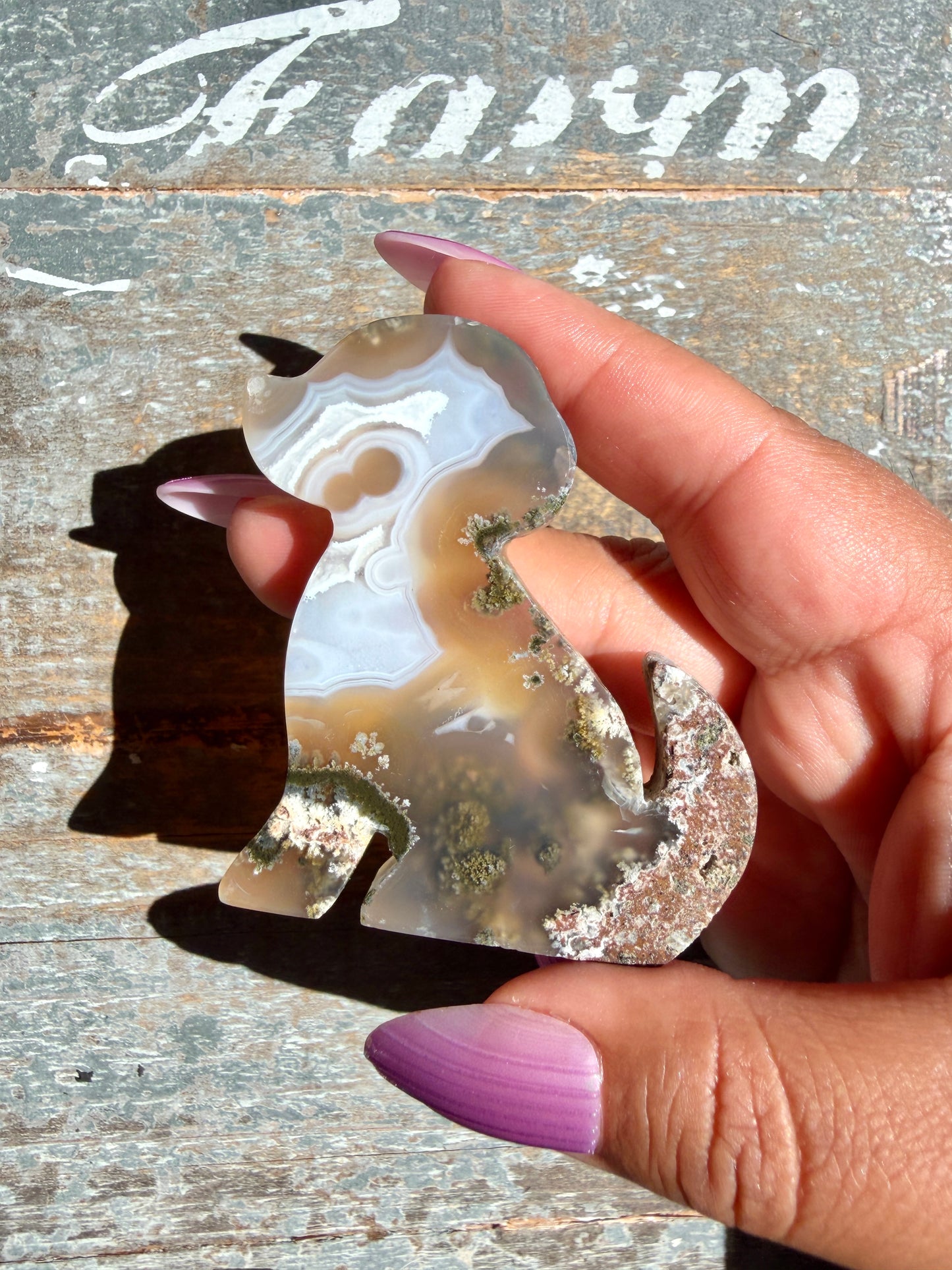 Gorgeous Indonesian Scenic Moss Agate DOG Carving | Opt 40