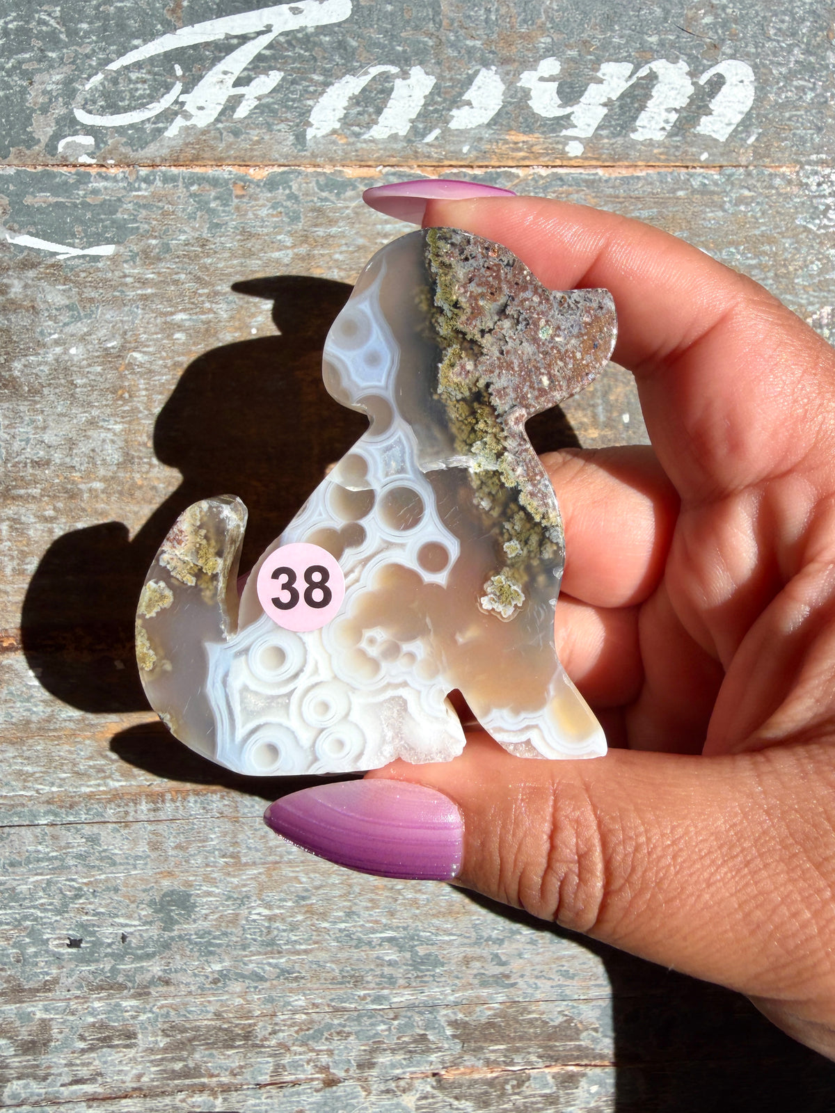 Gorgeous Indonesian Scenic Moss Agate DOG Carving | Opt 38