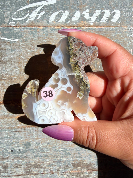 Gorgeous Indonesian Scenic Moss Agate DOG Carving | Opt 38