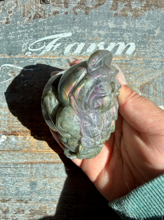 Flashy Labradorite Money Toad | Opt J